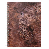 Cheetah Stare Notitieboek (Voorkant)
