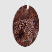 Cheetah Stare Ornament (voorkant)