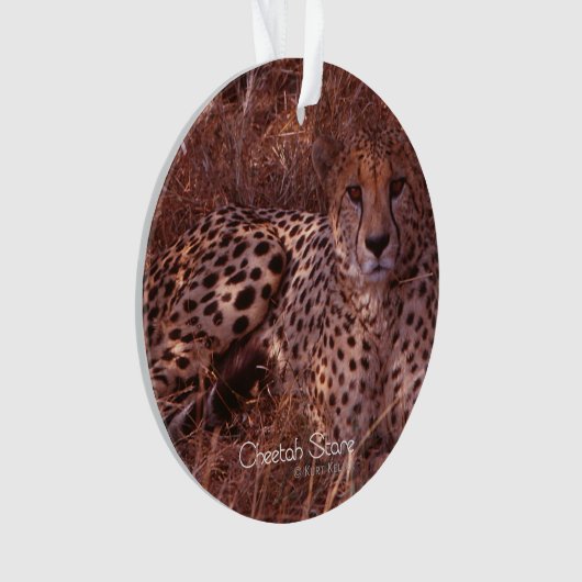 Cheetah Stare Ornament (voorkant)