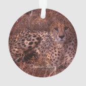 Cheetah Stare Ornament (achterkant)
