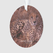 Cheetah Stare Ornament (voorkant)