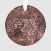 Cheetah Stare Ornament (voorkant)
