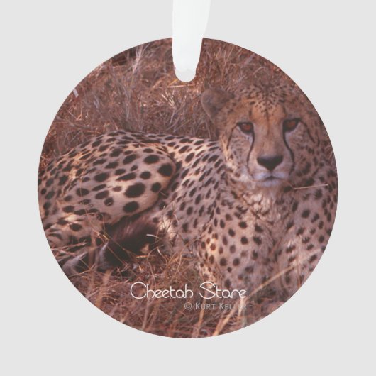 Cheetah Stare Ornament (voorkant)