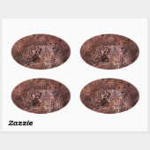 Cheetah Stare Ovale Sticker (Vel)