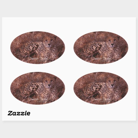 Cheetah Stare Ovale Sticker (Vel)