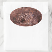 Cheetah Stare Ovale Sticker (Tas)