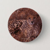Cheetah Stare Ronde Button 5,7 Cm (Voorkant)