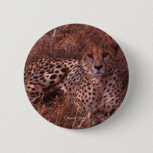 Cheetah Stare Ronde Button 5,7 Cm