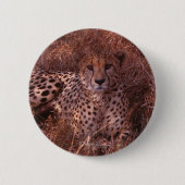Cheetah Stare Ronde Button 5,7 Cm (Voorkant)