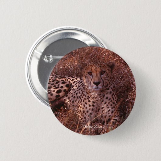 Cheetah Stare Ronde Button 5,7 Cm (Voorkant /achterkant)