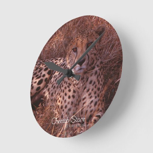Cheetah Stare Ronde Klok (Hoek)