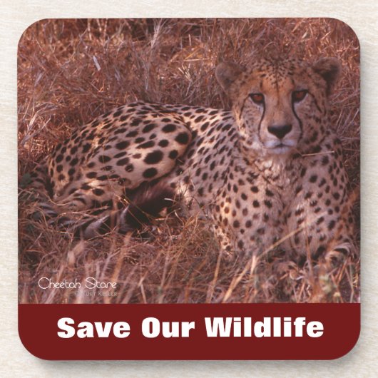 Cheetah Stare Save Our Willife Bier Onderzetter (Voorkant)