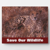 Cheetah Stare Save Our Willife Fotoplaat (Voorkant)