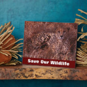 Cheetah Stare Save Our Willife Fotoplaat (Zijkant)