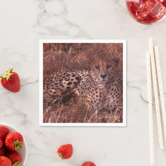 Cheetah Stare Servetten (Insitu)