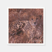 Cheetah Stare Servetten (Voorkant)