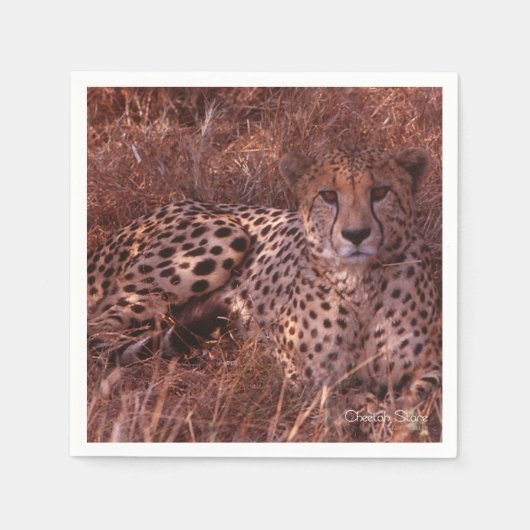 Cheetah Stare Servetten (Voorkant)