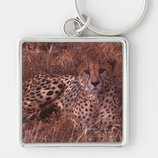 Cheetah Stare Sleutelhanger (Voorkant)