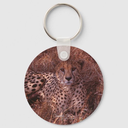 Cheetah Stare Sleutelhanger (Voorkant)