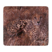 Cheetah Stare Snijplank (Voorkant)