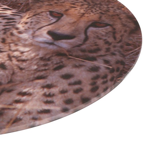 Cheetah Stare Snijplank (Hoek)
