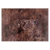 Cheetah Stare Snijplank (Voorkant)