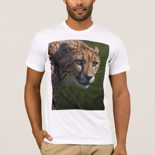 Cheetah Stare T-shirt