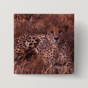 Cheetah Stare Vierkante Button 5,1 Cm