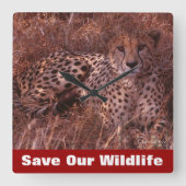 Cheetah Stare Vierkante Klok (Voorkant)