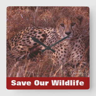 Cheetah Stare Vierkante Klok