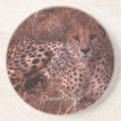 Cheetah Stare Zandsteen Onderzetter (Voorkant)