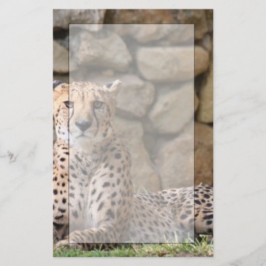 Cheetah Stationery Briefpapier (Voorkant)
