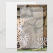 Cheetah Stationery Briefpapier (Voorkant / Achterkant)