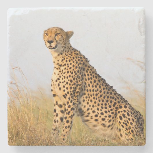 Cheetah Stenen Onderzetter (Voorkant)