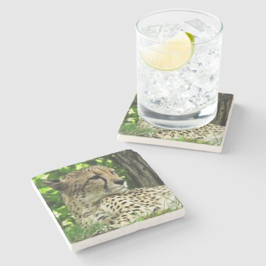 Cheetah Stenen Onderzetter (Zijkant)