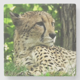 Cheetah Stenen Onderzetter