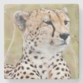 Cheetah Stenen Onderzetter (Voorkant)