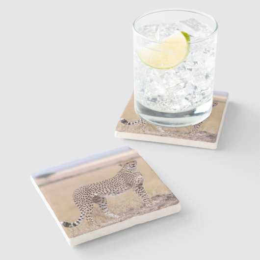 Cheetah Stenen Onderzetter (Zijkant)