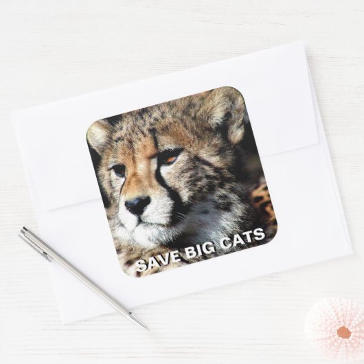 Cheetah Sticker (Envelop)