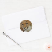 Cheetah Sticker (Envelop)