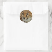 Cheetah Sticker (Tas)
