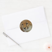 Cheetah Sticker (Envelop)