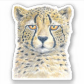 Cheetah Sticker (Voorkant)