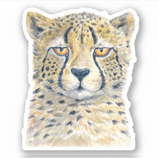 Cheetah Sticker (Voorkant)