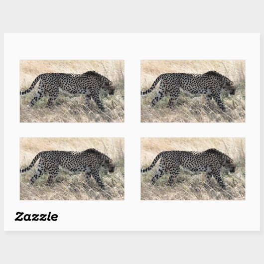 Cheetah Sticker 1 (Vel)