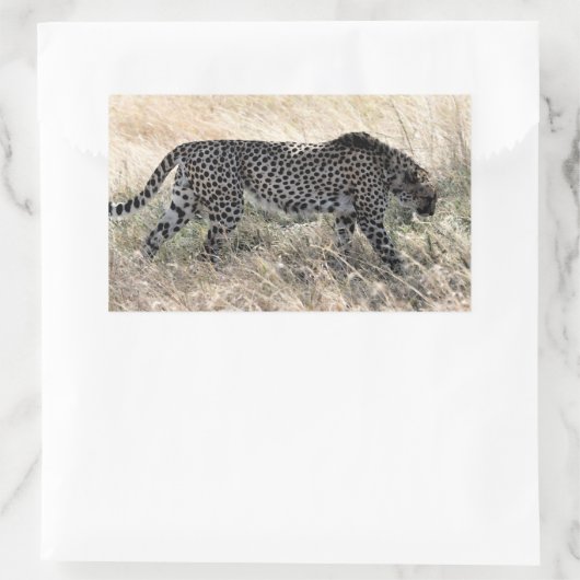 Cheetah Sticker 1 (Tas)