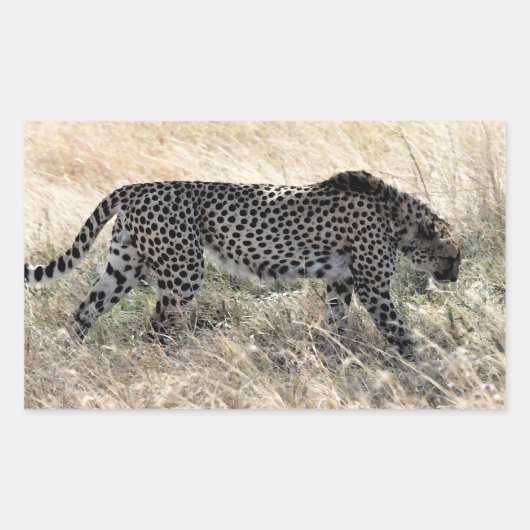 Cheetah Sticker 1 (Voorkant)