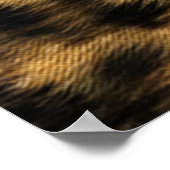 Cheetah Sunriser Poster (Hoek)