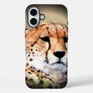 Cheetah Tear Marks Hakunamatata iPhone 16 Plus Hoesje