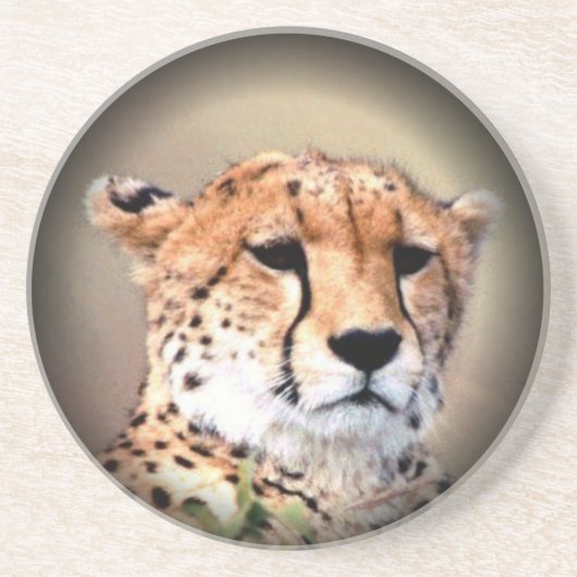 Cheetah Tear Marks Hakunamatata Zandsteen Onderzetter (Voorkant)